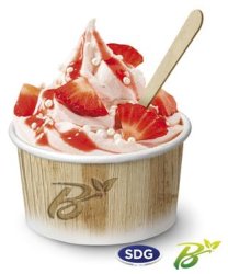 102 Biodegradable paper ice-cream cup - 312-60