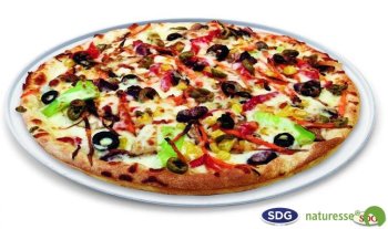 Assiette plate pour pizza en pulpe de cellulose ø 32,5 cm - 10485 ex 419/P
