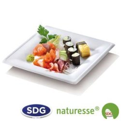 Assiette carrée en pulpe de cellulose 26x26 cm - "Ligne Elégance" - N129 ex 432/P