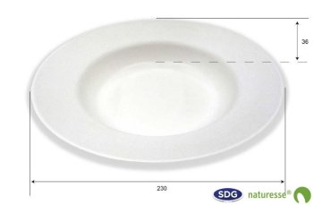 23CM DEEP PLATE BOL ELEGANCE EN PULPE DE CELLULOSE - 14171