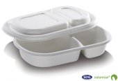 Transportschale in Zellulose Pulpa zwei Fachen und abtrennbarer Deckel 690 ml 24 x 15,5 x 4 cm - 5364